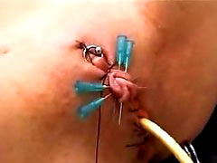 Master pierced through the nipple with a metal rod and pulled it out from the back of the tit